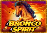 Bronco Spirit