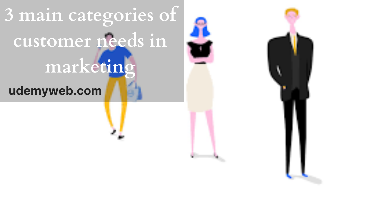 3 main categories of customer needs in marketing
