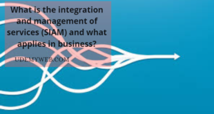 What is the integration and management of services (SIAM) and what applies in business