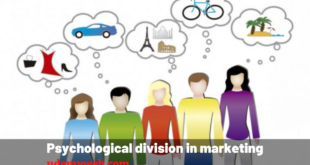 Psychological division in marketing