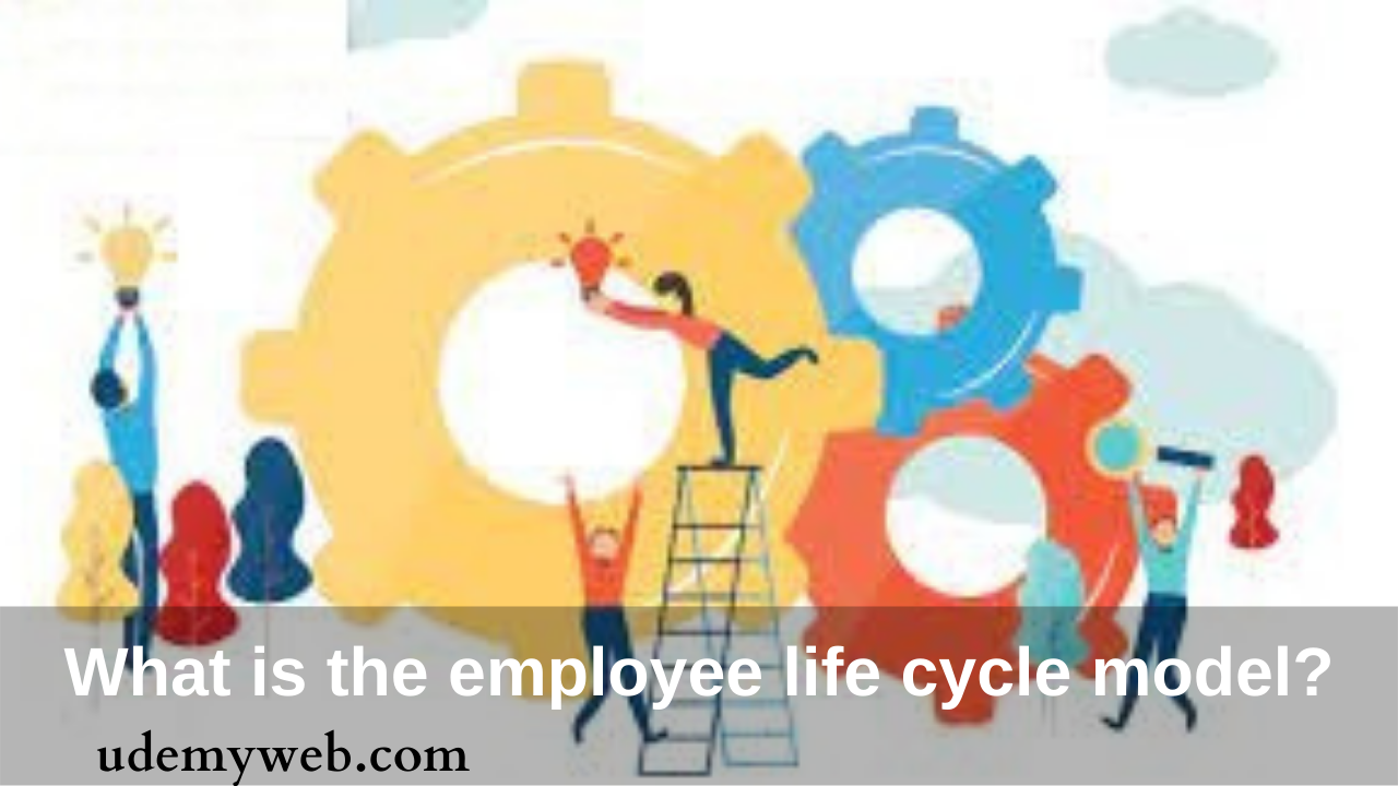 What is the employee life cycle model